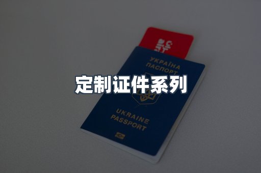 定制证件系列